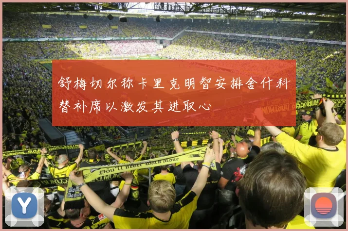 舒梅切尔称卡里克明智安排舍什科替补席以激发其进取心