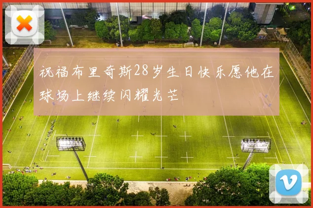 祝福布里奇斯28岁生日快乐愿他在球场上继续闪耀光芒