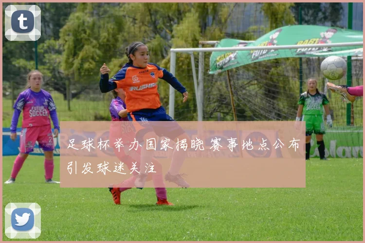 足球杯举办国家揭晓 赛事地点公布引发球迷关注